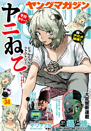 マガポケ | 雑誌 | ヤンマガ