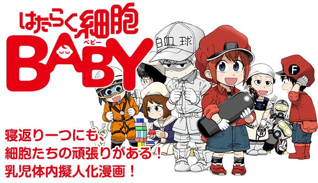 はたらく細胞BABY