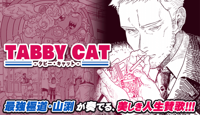 TABBY CAT
