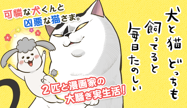 犬と猫どっちも飼ってると毎日たのしい