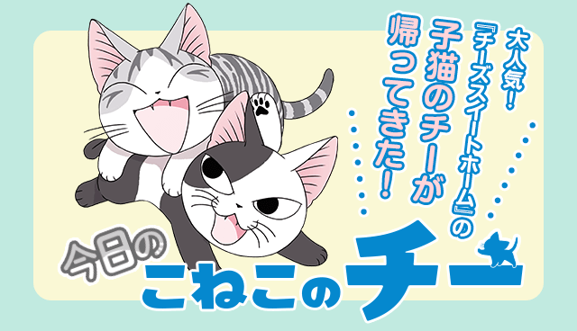 今日のこねこのチー