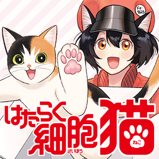 はたらく細胞　猫