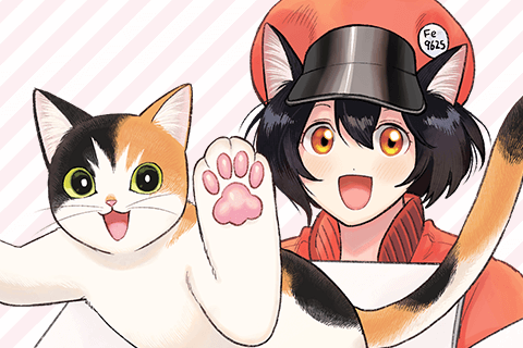 はたらく細胞　猫