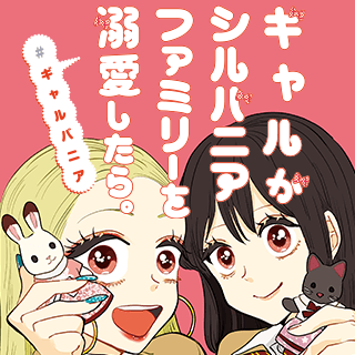 ギャルがシルバニアファミリーを溺愛したら。＃ギャルバニア