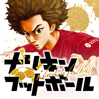 ナリキンフットボール