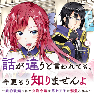 話が違うと言われても、今更もう知りませんよ ～婚約破棄された公爵令嬢は第七王子に溺愛される～