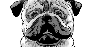 【＃36】働く犬