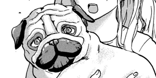  少年マガジン公式無料漫画アプリ Illustration 