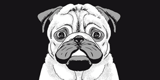 Talking Pug & His Powers: A Sumida River Story - News Directory 3