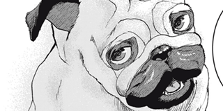 INNU-イッヌ- | 【＃1】犬との遭遇 / マガポケ | 少年マガジン公式無料