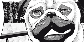 INNU-イッヌ- | 【＃1】犬との遭遇 / マガポケ | 少年マガジン公式無料