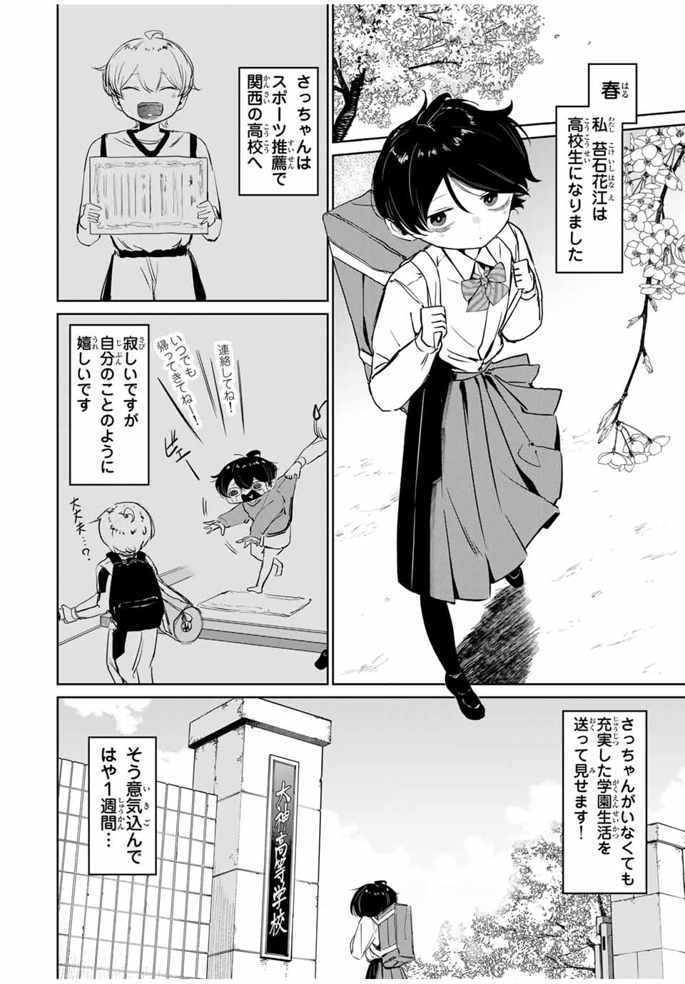 ハナバス　苔石花江のバスケ論