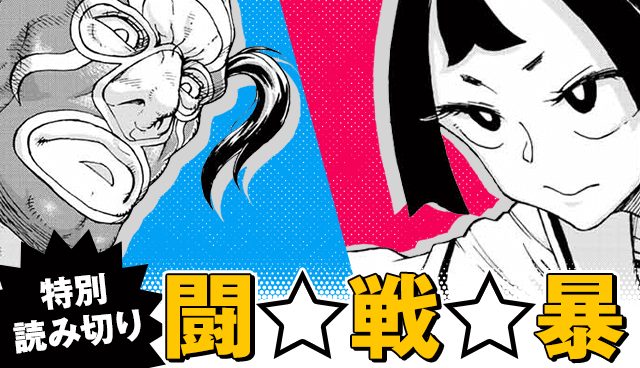 闘☆戦☆暴