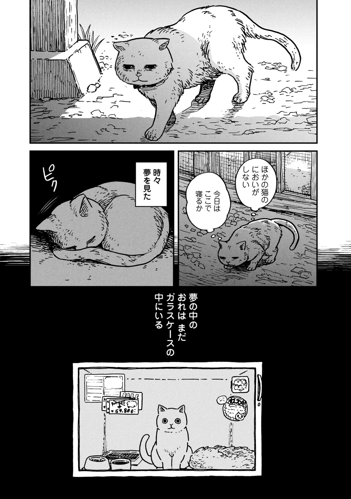ツレ猫 マルルとハチ
