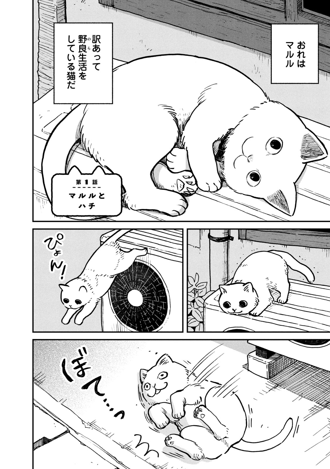 ツレ猫 マルルとハチ