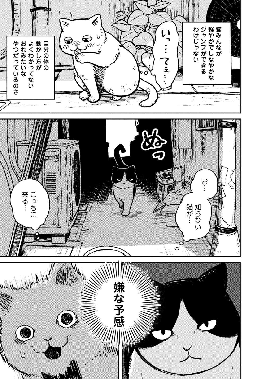 ツレ猫 マルルとハチ