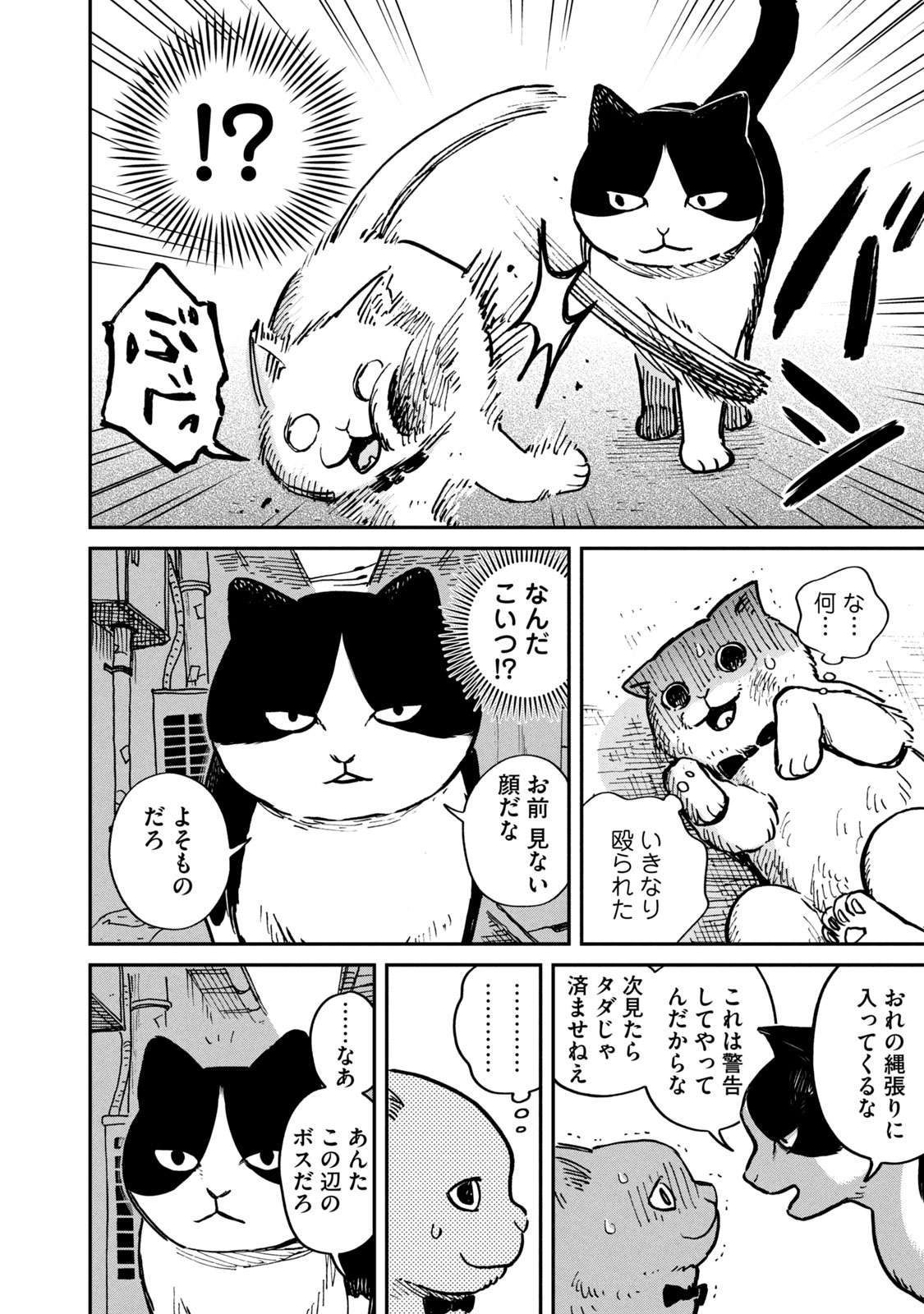 ツレ猫 マルルとハチ