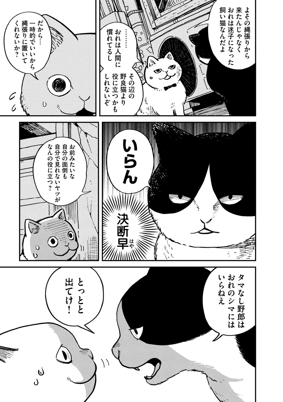 ツレ猫 マルルとハチ