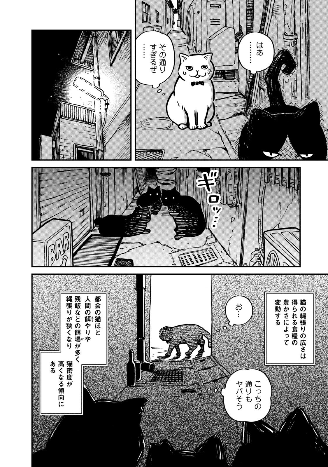 ツレ猫 マルルとハチ