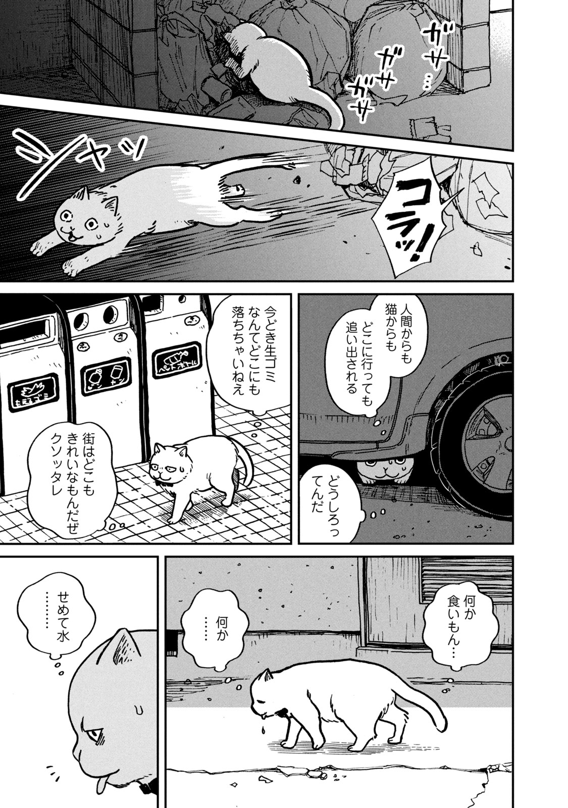 ツレ猫 マルルとハチ