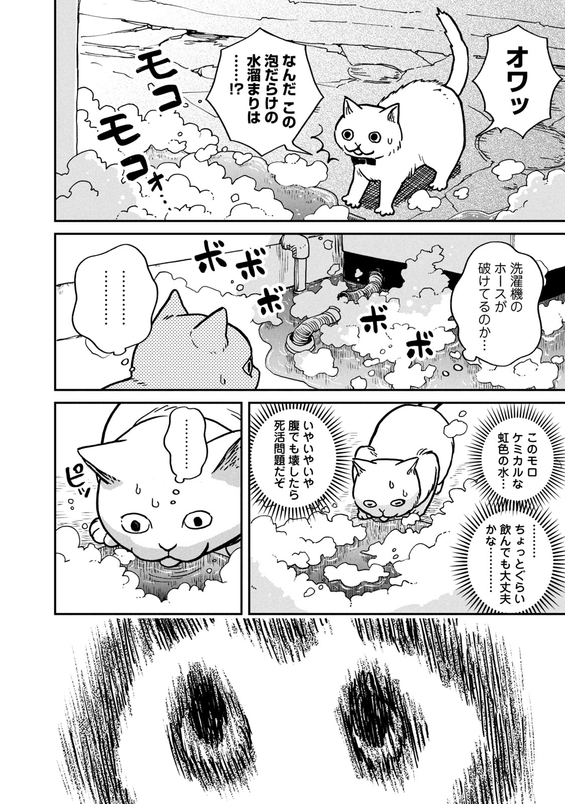 ツレ猫 マルルとハチ