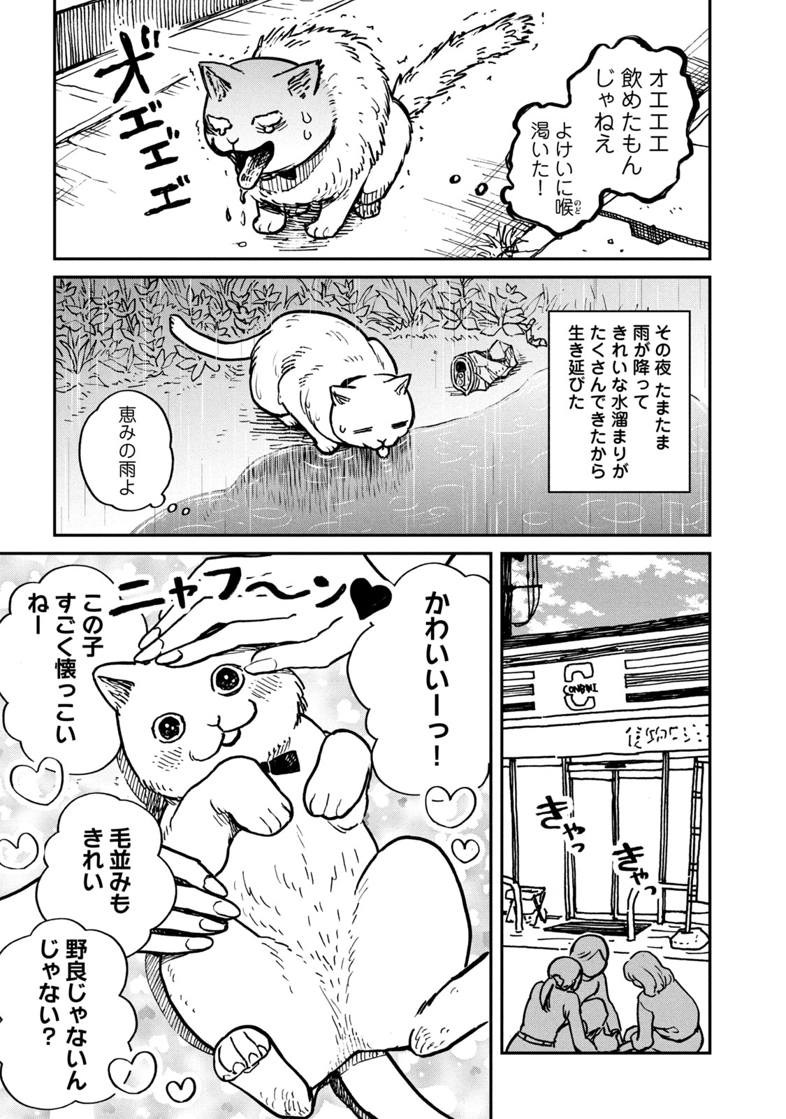 ツレ猫 マルルとハチ