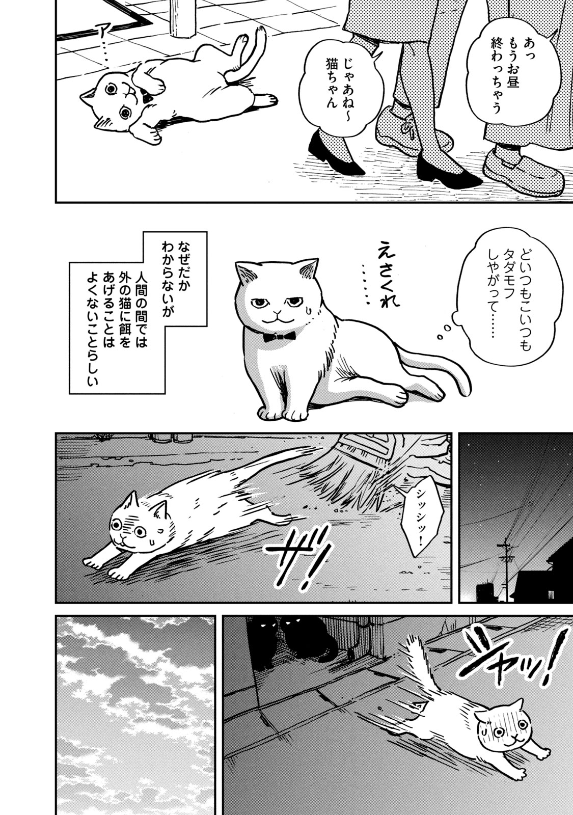 ツレ猫 マルルとハチ