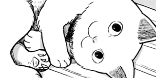 ツレ猫 マルルとハチ | 【第1話】マルルとハチ / マガポケ | 少年マガジン公式無料漫画アプリ