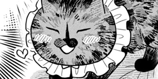 ツレ猫 マルルとハチ | 【第53話】シンプルなルール / マガポケ | 少年