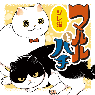 ツレ猫 マルルとハチ