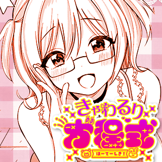 きゃわるり方程式