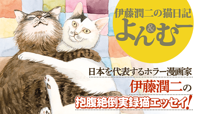 伊藤潤二の猫日記　よん＆むー