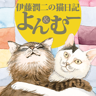 伊藤潤二の猫日記　よん＆むー