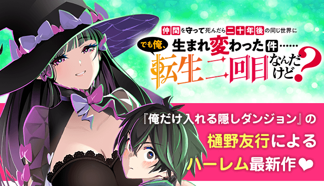 仲間を守って死んだら二十年後の同じ世界に生まれ変わった件……でも俺、転生二回目なんだけど？