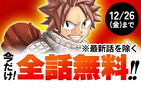 FAIRY TAIL 100 YEARS QUEST
