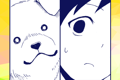 セーフの犬