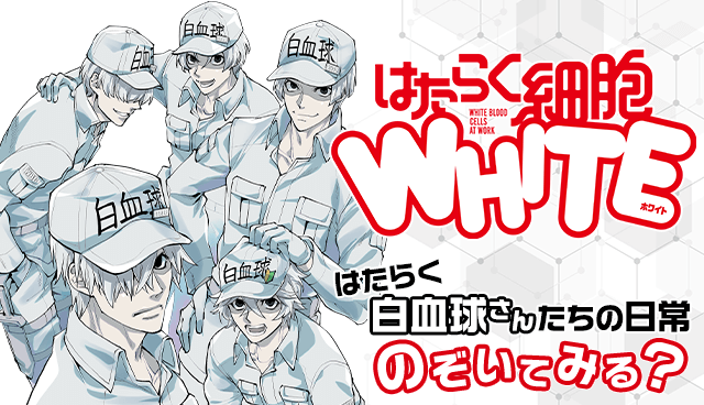 はたらく細胞WHITE
