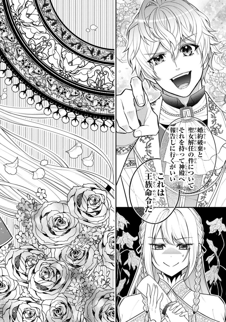 婚約破棄された聖女はのんびり働きたい~突然皆様に求婚されてもお断りです!~